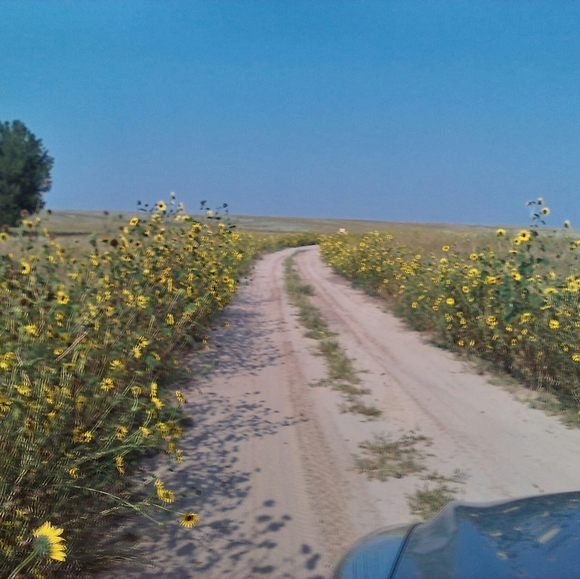 Meet your Posher, Maria - Picture 1 of 1